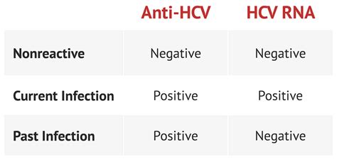 Hepatitis C Serology | Liver Function Tests - MedSchool