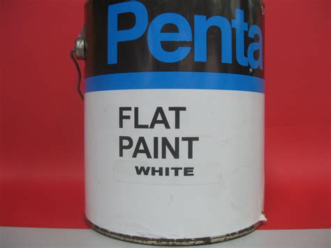 Penta Flat Oil Paint (White) Gallon – Yee Ken Hardware