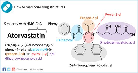 Mechanism Of Action Of Atorvastatin - IMAGESEE