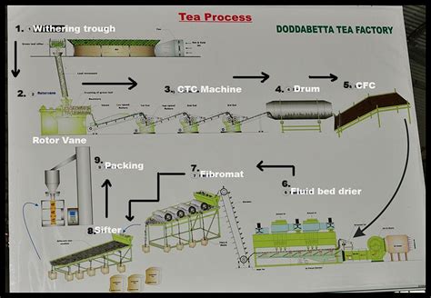 Arjun Haarith: Process of Manufacturing of Tea Powder