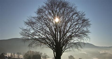 What and When is Winter Solstice?