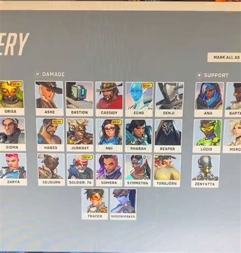 Overwatch 2 alpha images allegedly leaked, reveal hero roster and game ...