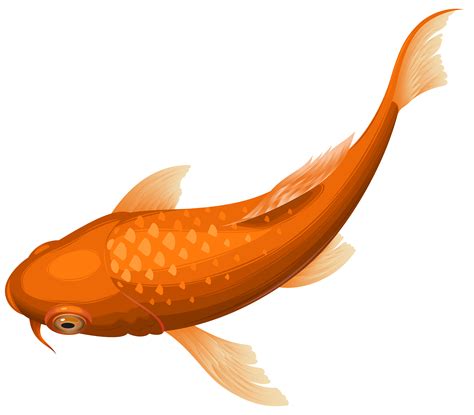 Koi Goldfish Clip art - Orange Koi Fish Transparent Clip Art PNG Image png download - 8000*7007 ...