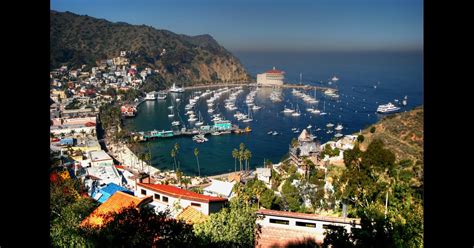 Santa Catalina Island Hotels: Compare Hotels in Santa Catalina Island ...