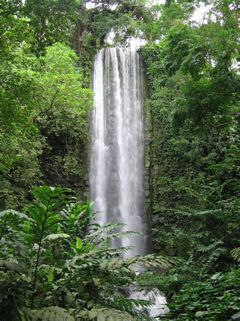 Jurong Falls in Jurong Bird Park | Waterfall, Natural waterfalls, Indoor waterfall