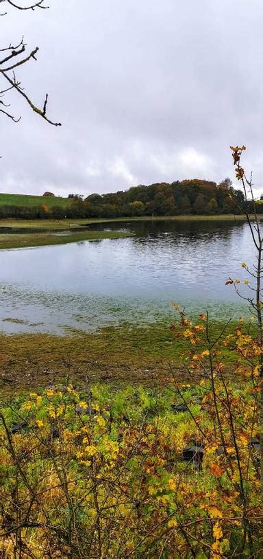 Hollingworth Lake Step-Free Walk - Go Jauntly