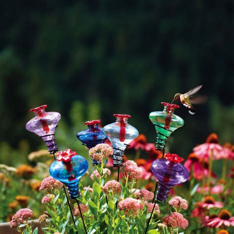 59 Top Pictures Decorative Hummingbird Feeders - Hummingbird Feeder Sale And Extended Hours ...