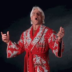 Ric Flair Punching Face GIF | GIFDB.com