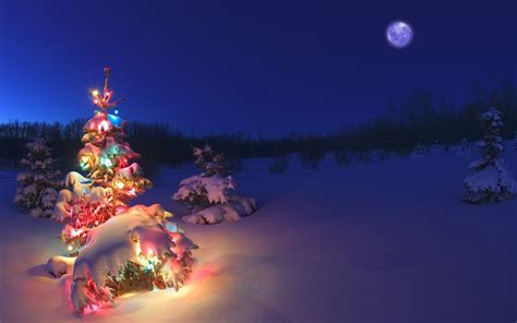 Christmas Tree Snow Wallpaper (73+ images)