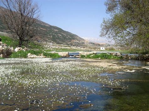 Litani River Basin - Disputes Around Water - HubPages