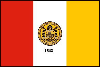 San Diego City Flag