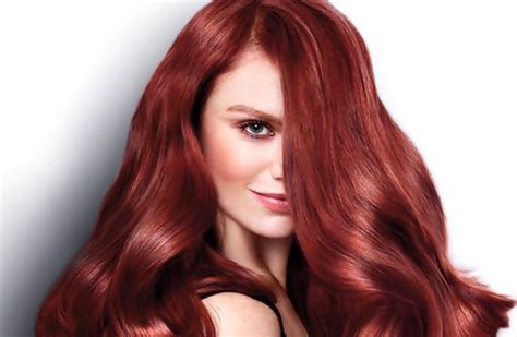 52% off on L'Oreal Global Hair Color/Highlights (shoulder length) @ Snip N Scissor - Pune Deal