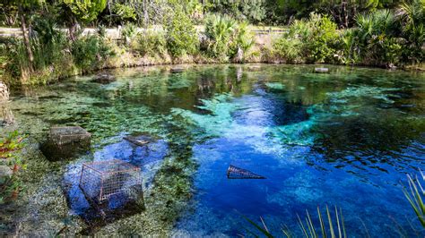 Silver Glen Springs faces flow, vegetation, recreation challenges