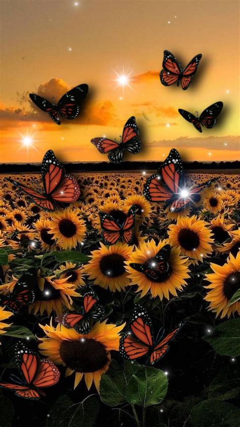 sunflowers with butterflies flying over them at sunset