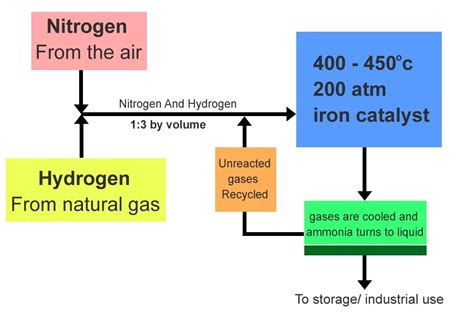 Haber Bosch Process: Definition, Equation & Environmental Effects