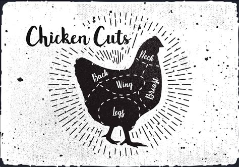 Chicken Cuts Diagram Vector 156282 Vector Art at Vecteezy