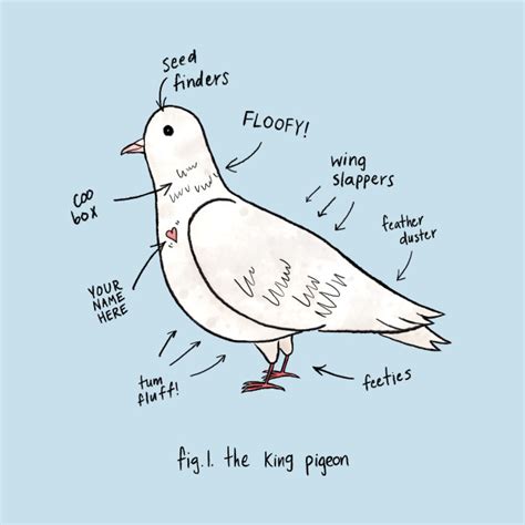 Anatomy of a Pigeon - Pigeon - Long Sleeve T-Shirt | TeePublic