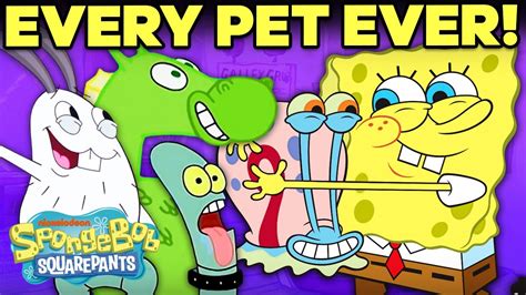 EVERY Pet in Bikini Bottom! 🐌🍍| SpongeBob SquarePants - YouTube