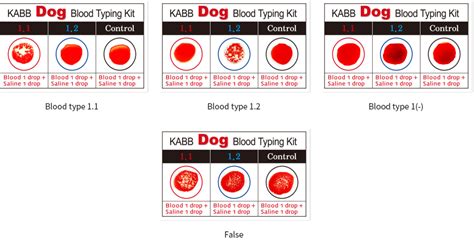 Canine Blood Typing Kit – Sismarket