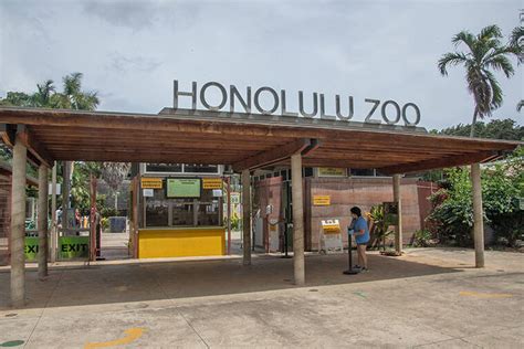 Honolulu Zoo’s native snail and butterfly programs highlighted in ...