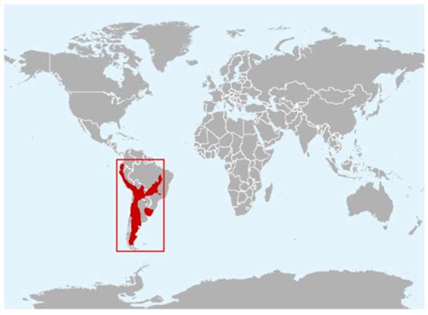 pampas map – International Society for Endangered Cats (ISEC) Canada