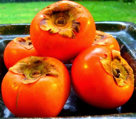 The Girl And Her Camera: Persimmons: A Tomato and Capsicum Look-a-Like Fruit?