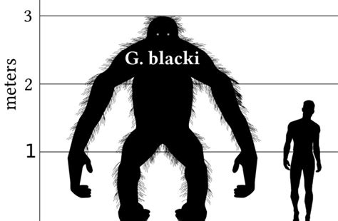 Gigantopithecus