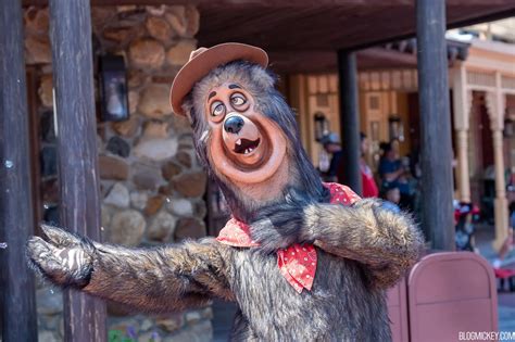 Country Bears Descend From On High to Greet Guests at Magic Kingdom