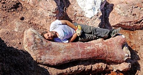 'Biggest Dinosaur Ever' Discovered in Argentina