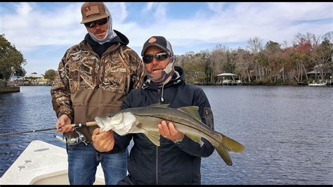 Snook Fishing Lures and Tactics for Winter on Florida's Gulf Coast ...