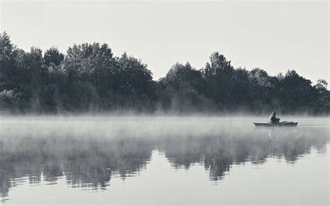 🔥 Free Download Black And White Landscapes Nature Fog Morning Wallpaper by @julieg | WallpaperSafari