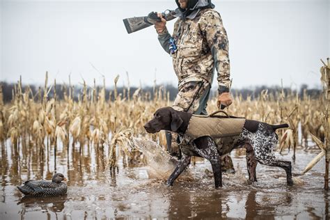 Best Duck Hunting Dogs | Outdoor Life