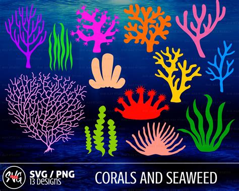 sea life svg Coral svg bundle seaweed svg ocean svg under the sea svg png Digital download cut ...