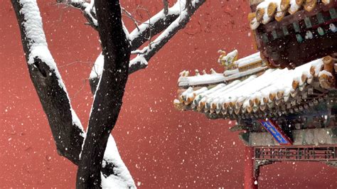 Download Forbidden City Roofs Covered In Snow Wallpaper | Wallpapers.com