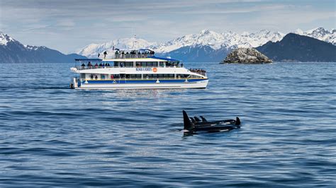 6 Hour Kenai Fjords National Park Cruise - Major Marine Tours in 2023 ...