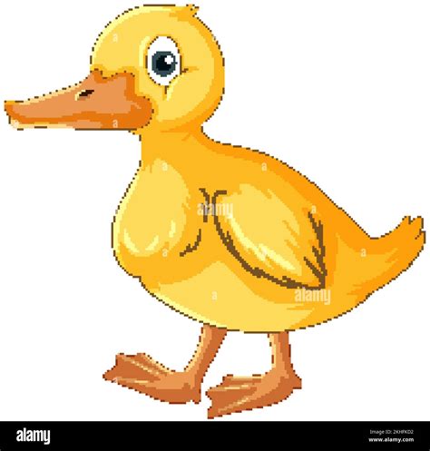 Little yellow duck cartoon character illustration Stock Vector Image ...