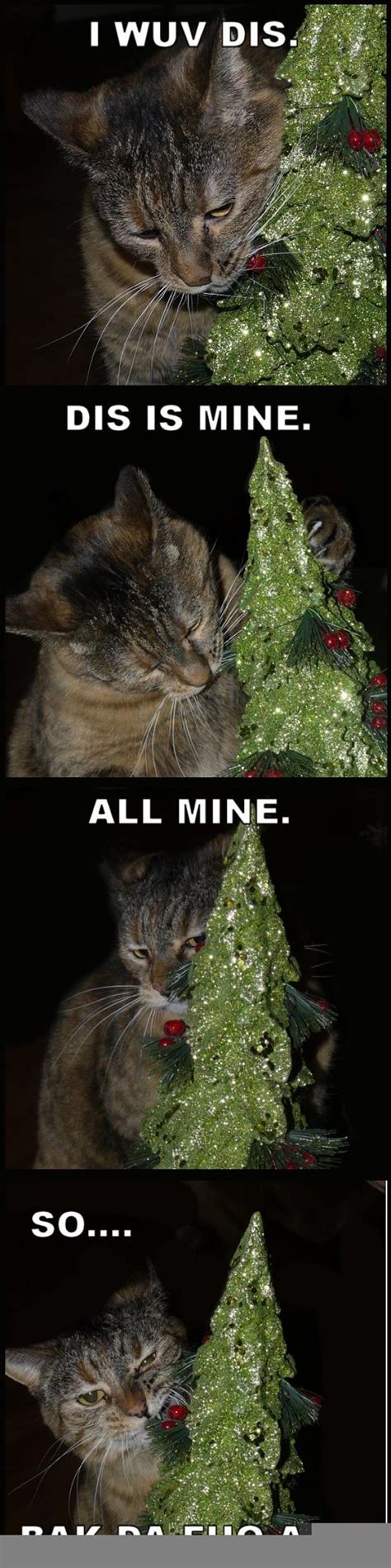 Just a Cat and Her Christmas Tree - Meme Guy