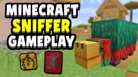 Minecraft 1.20 Sniffer Gameplay, Sounds, Animations & Ancient Seeds ...