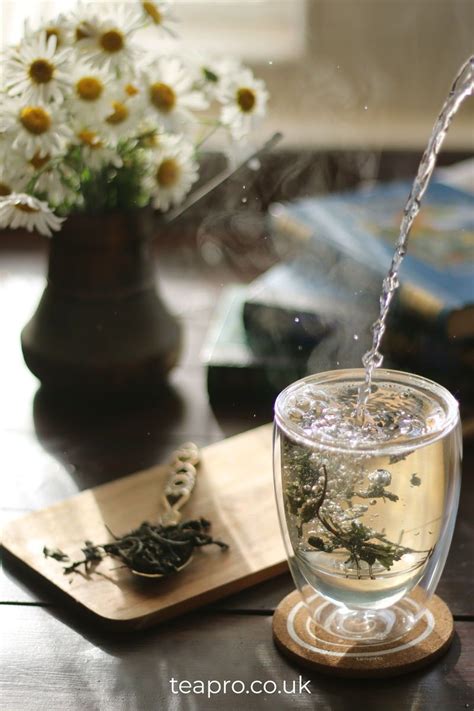 Shou Mei White Tea - Teapro in 2020 | White tea, Tea, Flavors