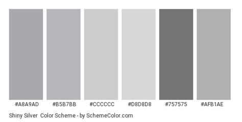 Shiny Silver Color Scheme