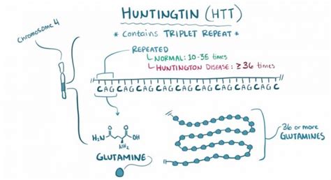 Huntington’s Disease - Serious Science