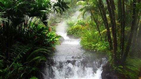 Waterfall in the jungle wallpaper - Nature wallpapers - #16143