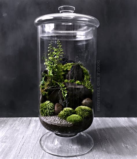 Galerie - Doodle Bird Terrariums | Terrarium, Succulent terrarium, Beautiful terrariums