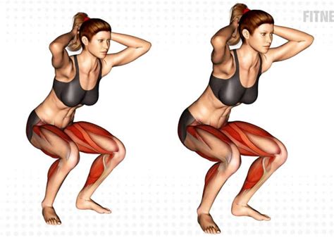 Frog Squat Exercise Guide and Videos – Fitness Volt