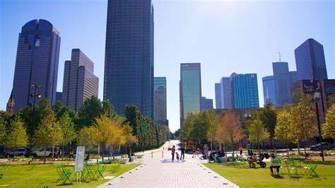 Dallas Museum of Art Pictures: View Photos & Images of Dallas Museum of Art