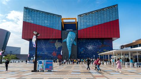 Osaka Aquarium Kaiyukan Offers Interactive Fun For The Whole Family