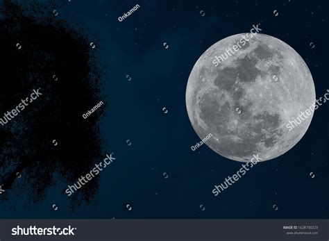 Full Moon On Night Sky Silhouette Stock Photo 1628700223 | Shutterstock