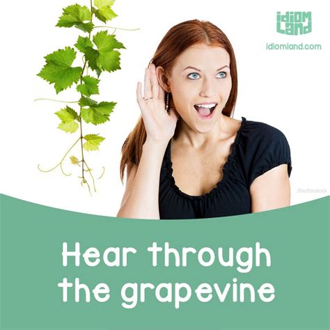 Idiom of the day: Hear through the grapevine. Meaning: To hear information from someone who ...