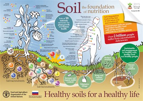 Abundant Design: Building Soil for Health, Climate & Profit