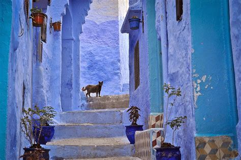 You Have To See This Mesmerizing Town In Morocco Covered In Blue Paint